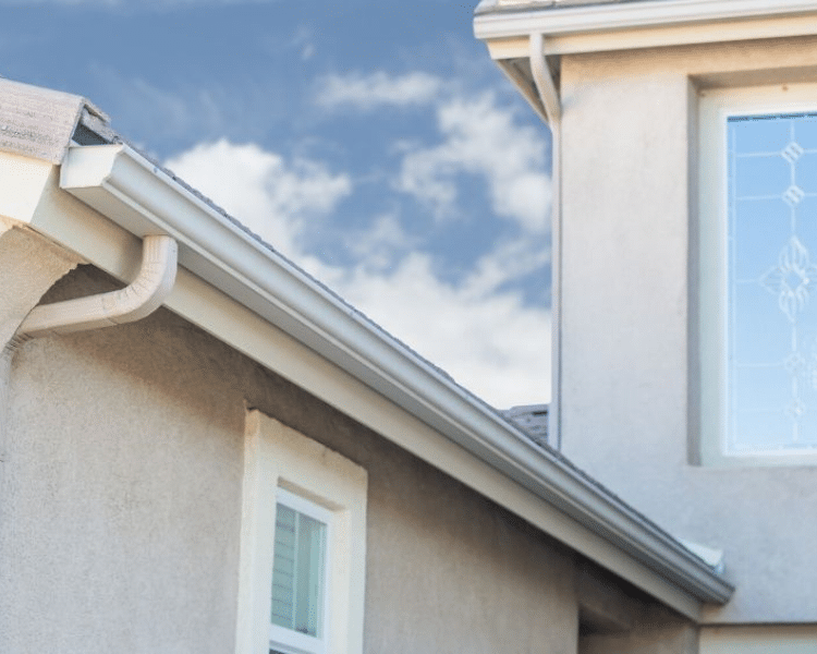 Gutter Cleaning Company in Virginia Beach