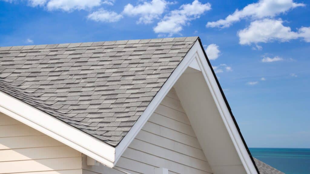 Top Roof Cleaning Company in Virginia Beach