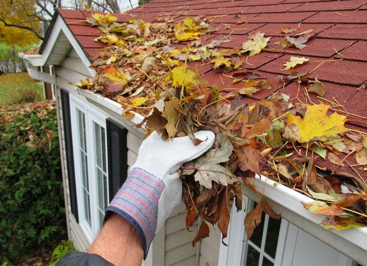 gutter cleanouts in Virginia Beach